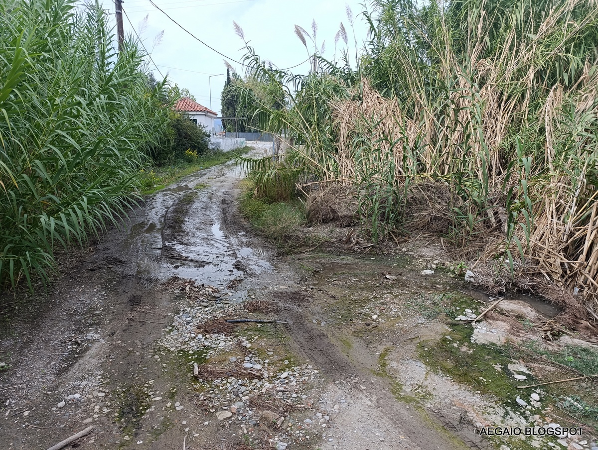 Περιβάλλον