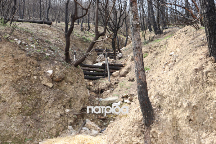 antidiavrotika-karyes