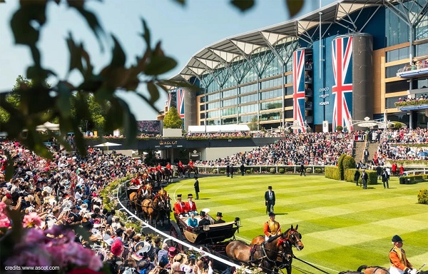 ascot4