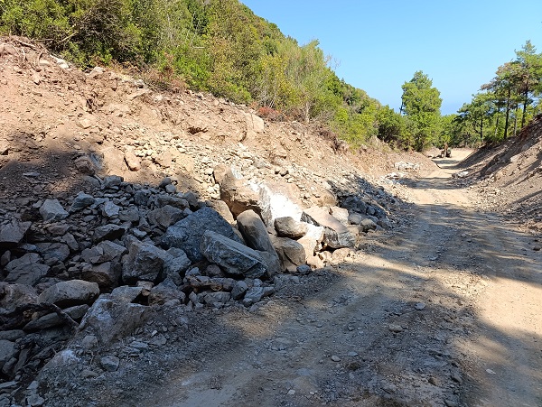 petalides
