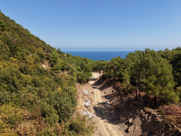 ρεματα