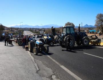 agrotes