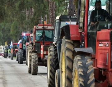 agrotes