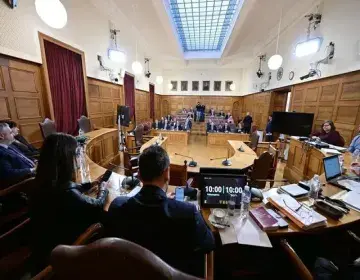 vouli