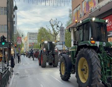 agrotes
