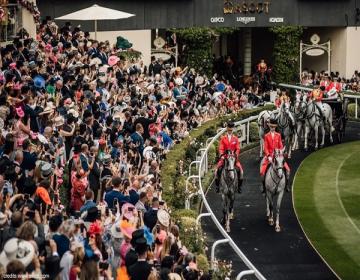 ascot3