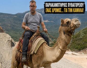 dromos