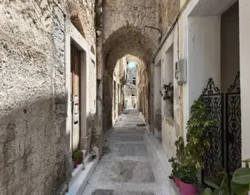 XIOS