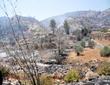 chios_kammena