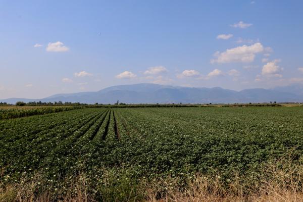 stasi pliromon