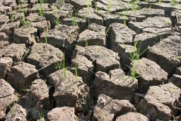 Βιβλίο, Κόψτε ταχύτητα