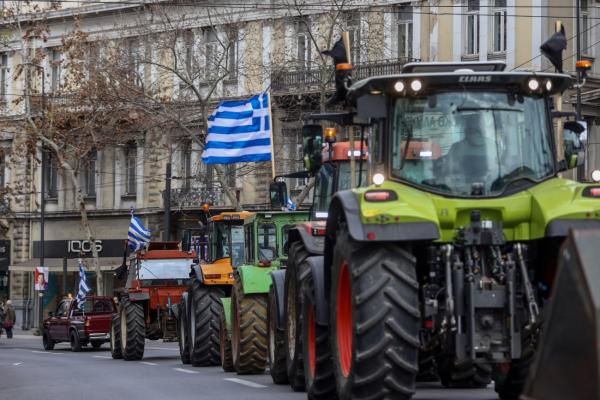 agrotes