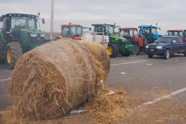agrotes-mploka