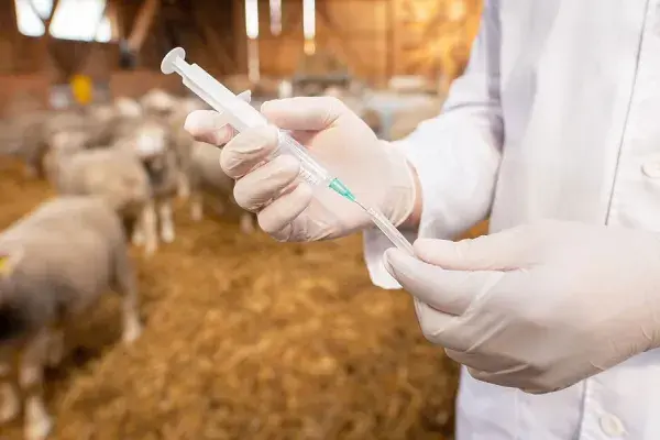 ktiniatros-evros-provata