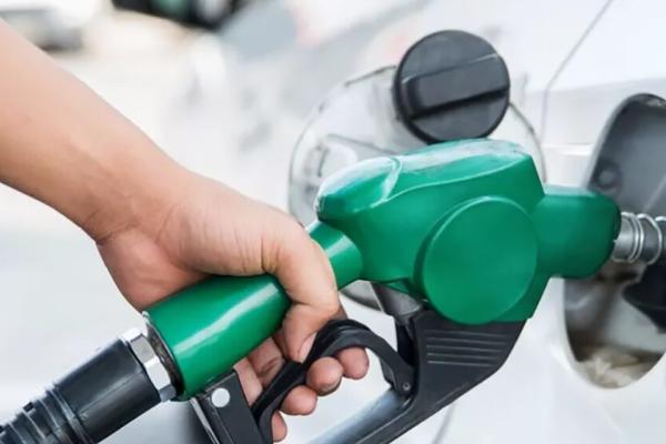 kafsima-shutterstock