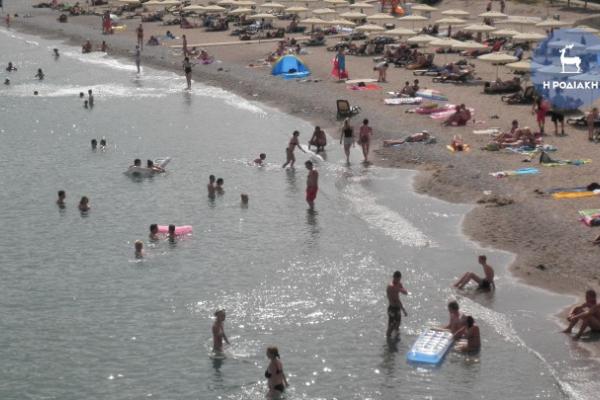 paralia