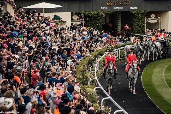 ascot3