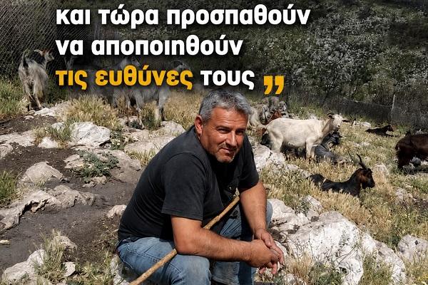 vettas giannis