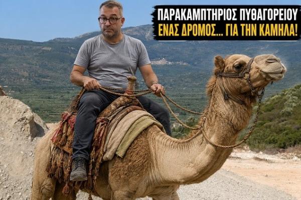 dromos