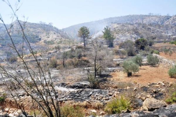 chios_kammena