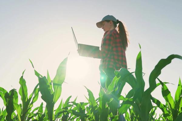 farmer-laptop